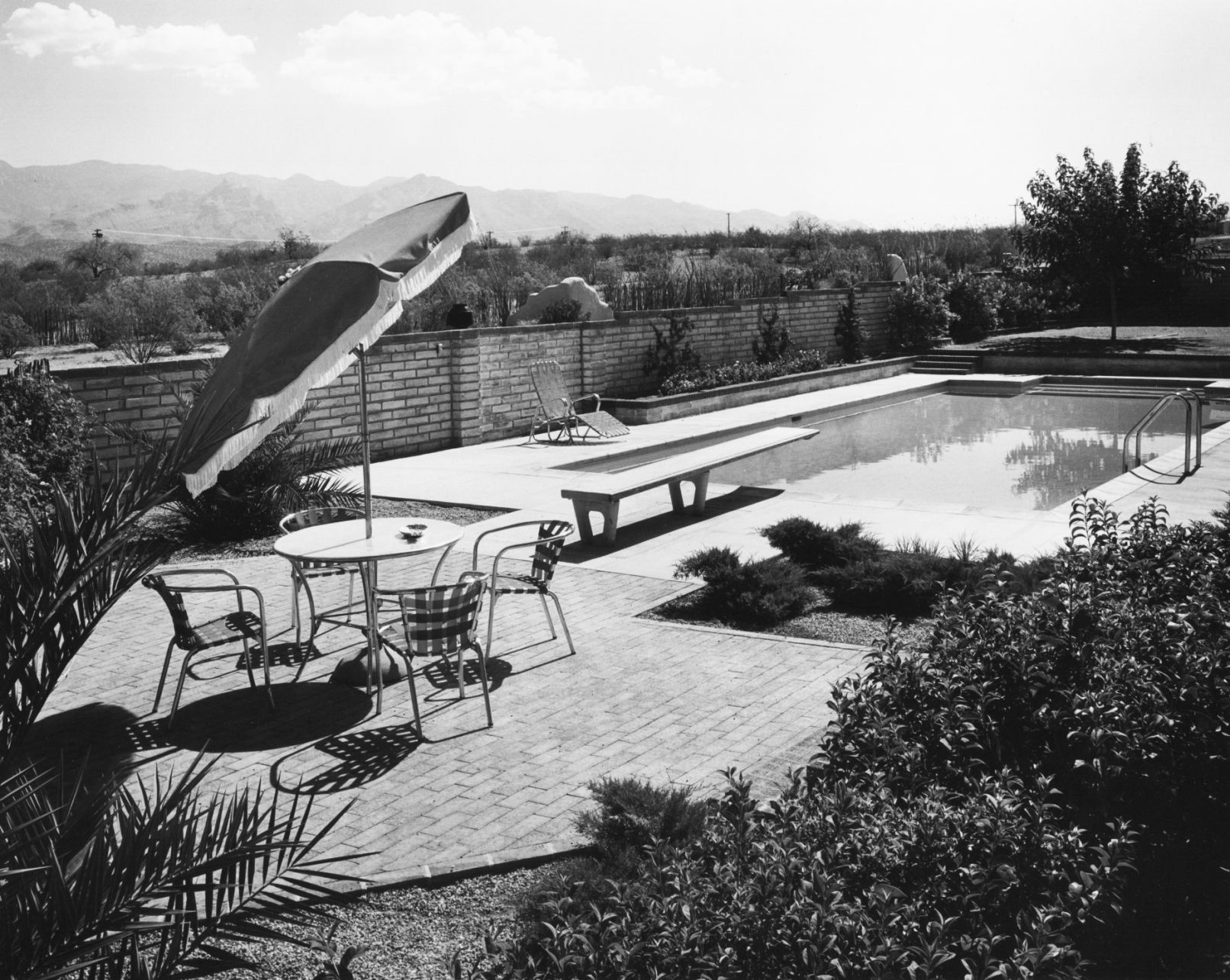 1959 photos: Cosmopolitan tastes and wide interests